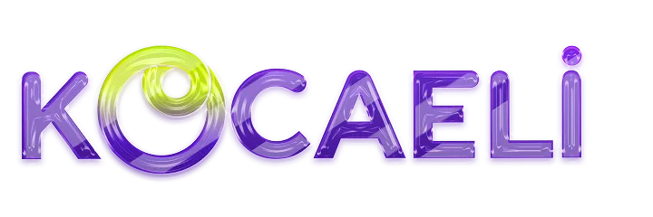 e-Kocaeli e-Kocaeli